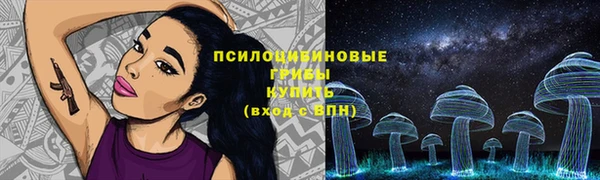 СК Балахна