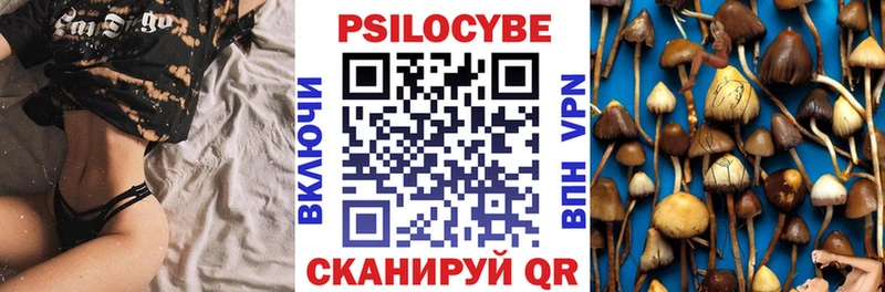 hydra ТОР  darknet клад  Псилоцибиновые грибы Psilocybine cubensis  Бирюсинск 